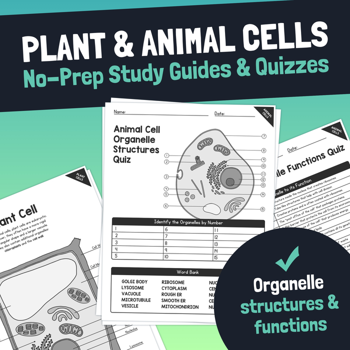 Plant & Animal Cell Structures & Functions: NO PREP Organelle Study Guides and Quizzes