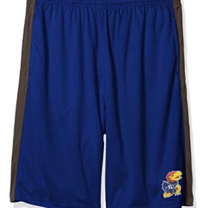 Profile Varsity Men's Big & Tall Athletic Shorts, Royal/Charcoal, 2X