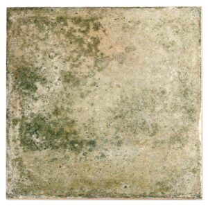 angela harris green polished ceramic wall tile sample