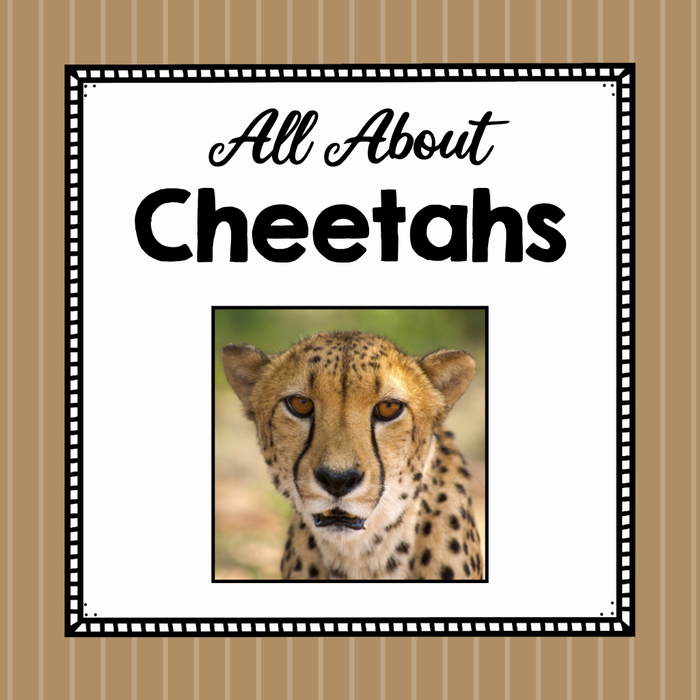 All About Cheetahs - Elementary Animal Science Unit