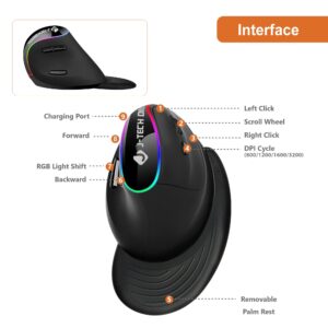 J-Tech Digital Ergonomic Mouse with Wireless Connection, Removable Palm Rest, Thumb Buttons, Rechargeable Battery, 800 DPI, Compatible with Windows and MAC OS