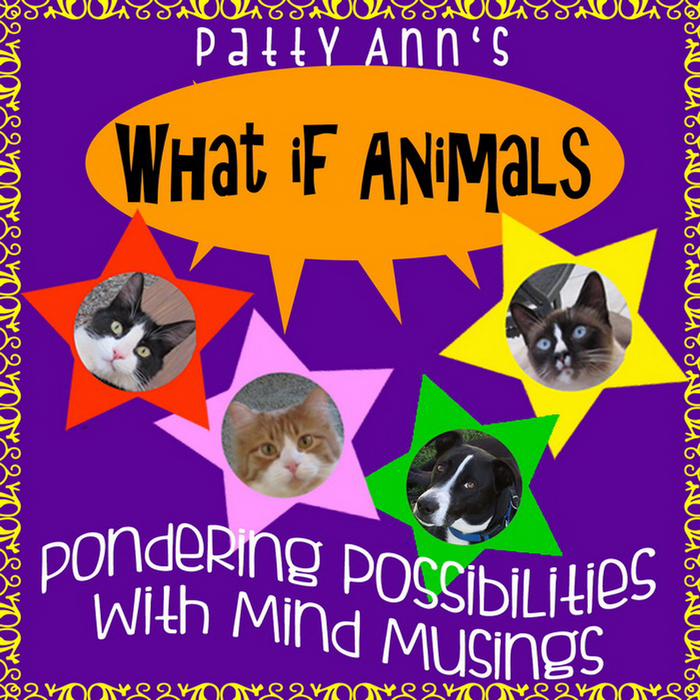 WHAT iF ANiMALs = 35 Photographs with Cartoon Captions for *Icebreakers *Critical Thinking *Activities *Recess *Break Time & Discussion Starters!