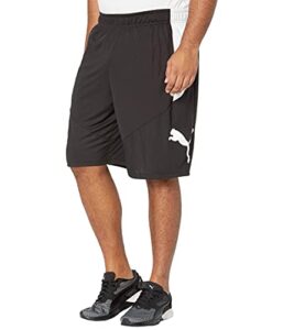 puma men's cat shorts 1 (available in big and tall sizes)