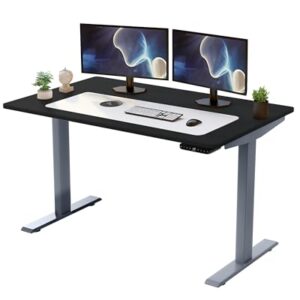 Rise UP Dual Motor Electric Standing Desk 48x30 Black Desktop Premium Ergonomic Adjustable Height sit Stand up Home Office Computer Desk Table Motorized Powered Modern Furniture Small Standup Table