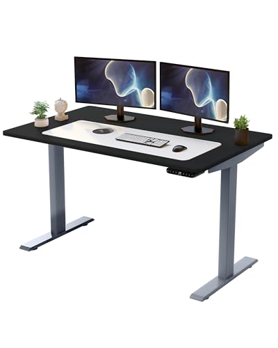 Rise UP Dual Motor Electric Standing Desk 48x30 Black Desktop Premium Ergonomic Adjustable Height sit Stand up Home Office Computer Desk Table Motorized Powered Modern Furniture Small Standup Table