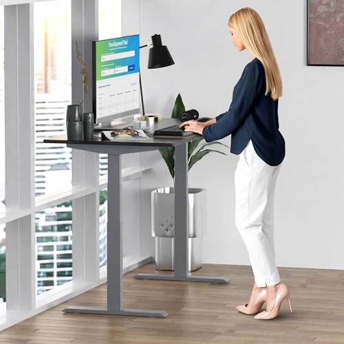 Rise UP Dual Motor Electric Standing Desk 48x30 Black Desktop Premium Ergonomic Adjustable Height sit Stand up Home Office Computer Desk Table Motorized Powered Modern Furniture Small Standup Table