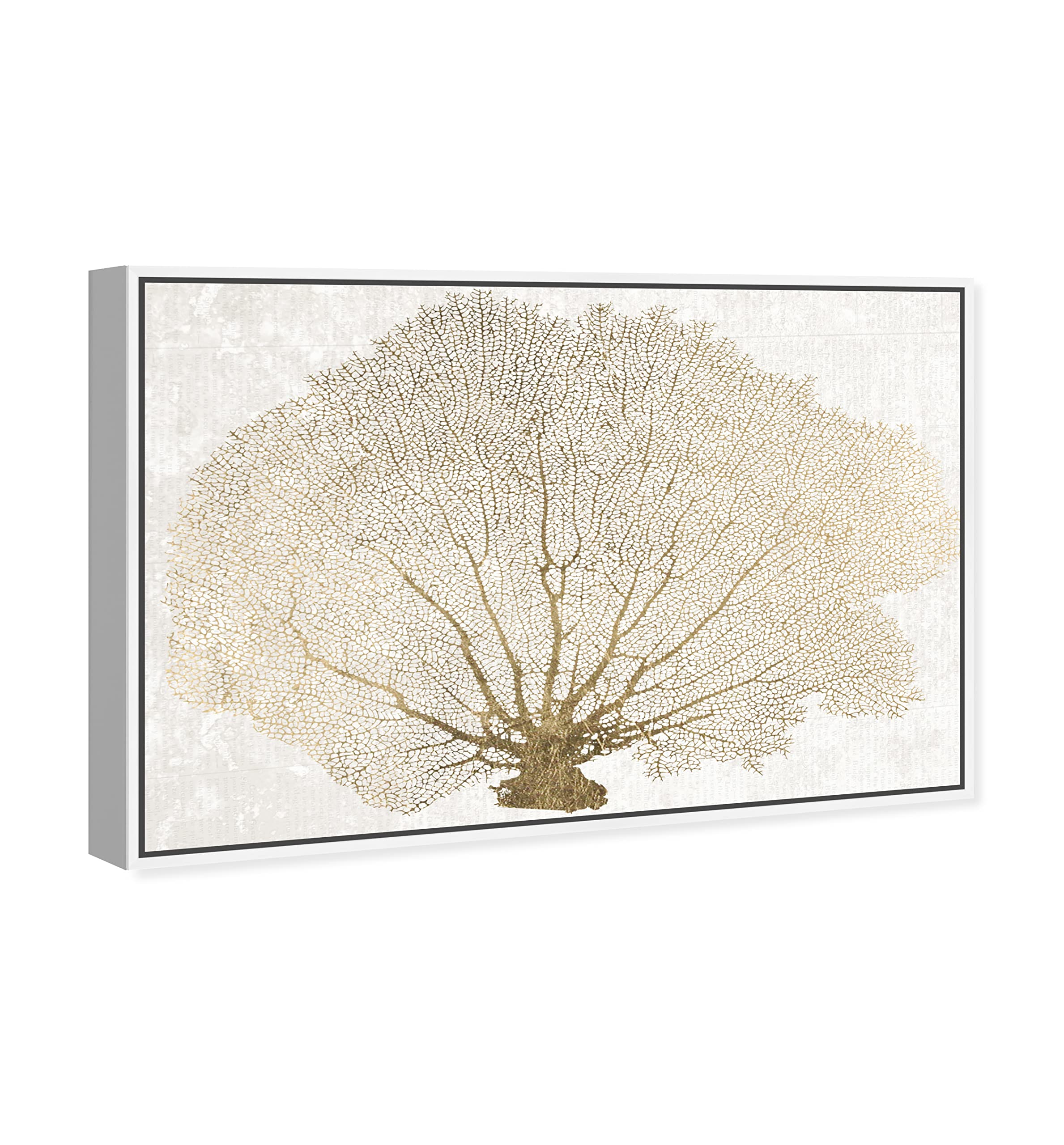 The Oliver Gal Artist Co. Nautical and Coastal Contemporary White Frame Canvas Wall Art Gold Coral Fan Living Room Bedroom and Bathroom Home Decor 45 in x 30 in White and Gold