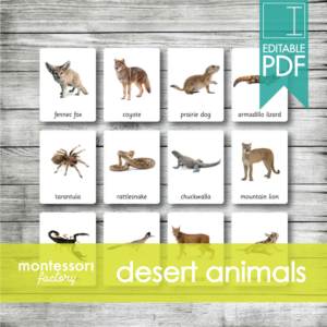 desert animals • montessori cards • flash cards • three part cards • nomenclature cards • educational material • montessori printable • editable pdf