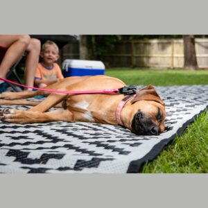 Mountain Mat Premium RV Patio Mat Size 8' x 16' Made from Recycled Plastic for Camping - Thick 5 mm Heavy Duty, Waterproof, Reversible Rugs Recycled Polypropylene (8' x 16', Black)