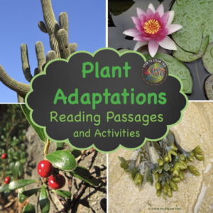 plant adaptations non-fiction text