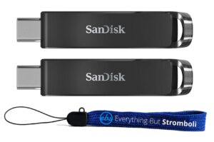 sandisk 64gb ultra usb type-c flash drive two pack works with type-c computers, phones, and tablets (sdcz460-064g-g46) bundle with (1) everything but stromboli lanyard