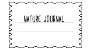 blank nature journal sketch pages 8 1/2 x 11 with space for date & latin name