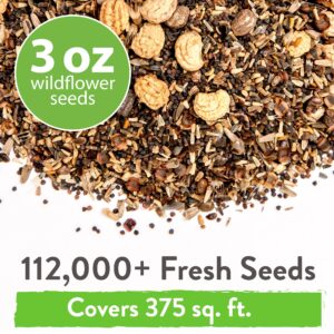 HOME GROWN 112,000+ Wildflower Seeds: Bulk Mix of 21 Varieties, Non-GMO Wild Flower Seed | Bee and Butterfly Garden Variety Pack | Annual Flowers Seeds for Planting |Native Wildflowers for Your Garden