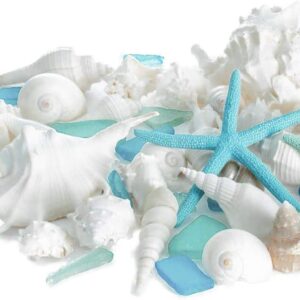 Real Mixed Beach Seashells with Blue & Green Starfish & Aqua and Blue Sea Glass | White Decorative Sea Shell Décor & Blue Seaglass Pieces | Seashell Wedding | Plus Free Nautical eBook by Joseph Rains