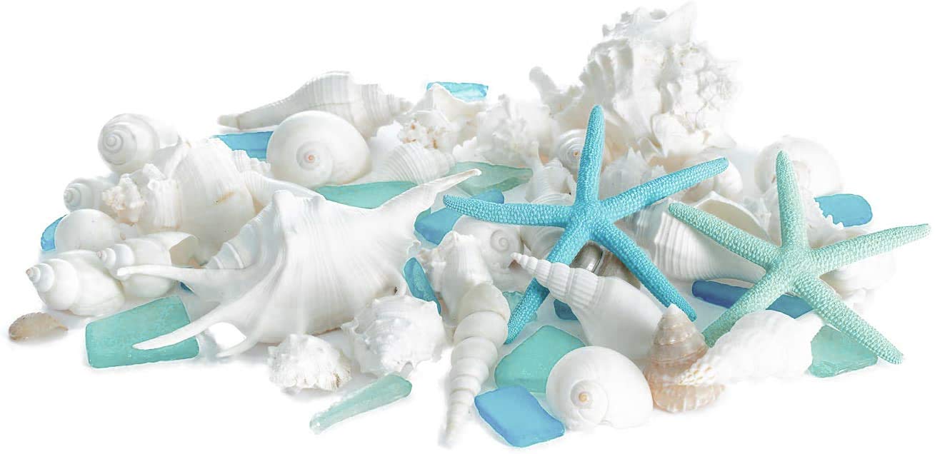 Real Mixed Beach Seashells with Blue & Green Starfish & Aqua and Blue Sea Glass | White Decorative Sea Shell Décor & Blue Seaglass Pieces | Seashell Wedding | Plus Free Nautical eBook by Joseph Rains