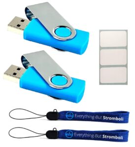 4gb flash drives bulk 2 pack usb 2.0 blue memory drive bundle with (2) everything but stromboli lanyards and (3) white labels for usb drive