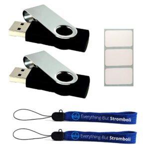 64gb flash drives (2 pack bulk - black) 3.0 usb memory bundle with (2) everything but stromboli lanyards & (3) white labels for pendrive/flashdrive