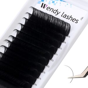 wendy lashes classic lash extensions d curl eyelash extensions premium 0.10 thickness volume lash extension 20-25mm individual lashes soft dark professional lashes extensions(0.10-d, mixed 20-25mm)