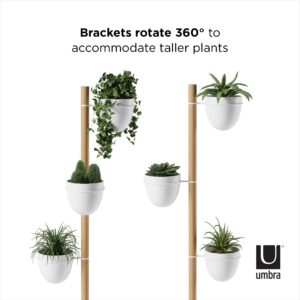 Umbra Floristand Planter