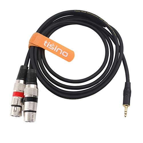 tisino Dual XLR to 3.5mm Stereo Mic Cable, 2 XLR Female to 1/8 Inch Mini Jack Y-Splitter Breakout Lead Microphone Cord - 3.3 feet