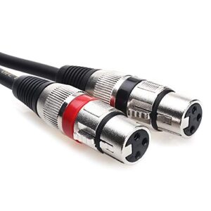 tisino Dual XLR to 3.5mm Stereo Mic Cable, 2 XLR Female to 1/8 Inch Mini Jack Y-Splitter Breakout Lead Microphone Cord - 3.3 feet