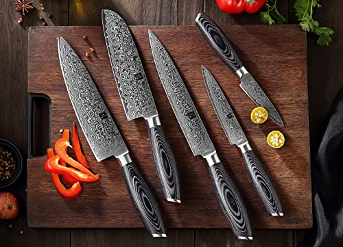 XINZUO 7PC Damascus steel Knife Block Sets, Professional High Carbon Steel Chef Knife Santoku Slicing Utility Fruit Knife with Multifunctional Kitchen Shears,Ergonomic Pakkawood Handle - Ya Series