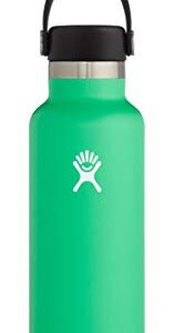 Hydro Flask Water Bottle - Standard Mouth Flex Lid - 21 oz, Spearmint