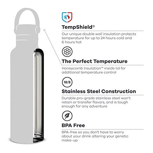 Hydro Flask Water Bottle - Standard Mouth Flex Lid - 21 oz, Spearmint