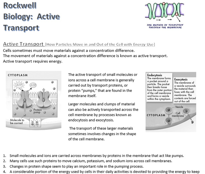 Cell Active Transport