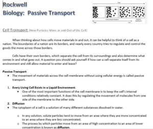 cell passive transport