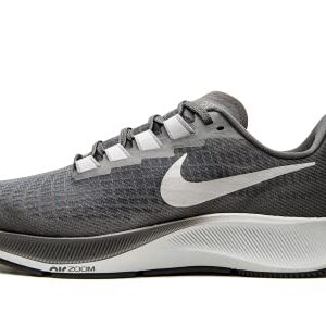 Nike Men's Air Zoom Pegasus Running Shoe, Iron Grey/Light Smoke Grey, 9.5