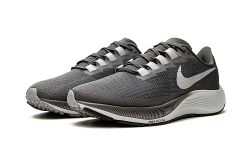 Nike Men's Air Zoom Pegasus Running Shoe, Iron Grey/Light Smoke Grey, 9.5