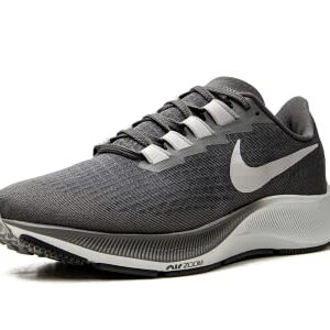 Nike Men's Air Zoom Pegasus Running Shoe, Iron Grey/Light Smoke Grey, 9.5