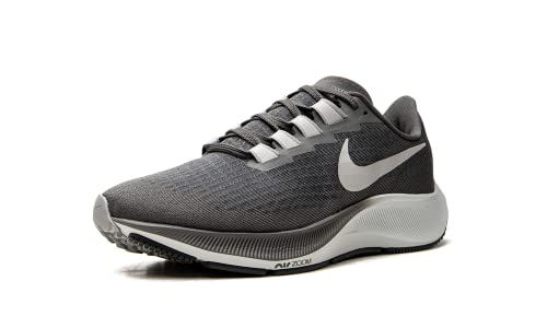 Nike Men's Air Zoom Pegasus Running Shoe, Iron Grey/Light Smoke Grey, 9.5