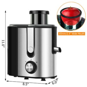 COSTWAY Juicer Machines with 2.5inch Wide Mouth, 400W Masticating Juicer Extractor with Dual Speed Control and Overload Protection, Stainless Steel Centrifugal Juicer with Anti-drip Design, BPA-FREE