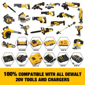 DSANKE 20V 6.0Ah Battery Replace for Dewalt 20V Battery DCB200 DCB206 DCB207 DCB204 DCB203 DCB201 DCB200 DCB180 DCD/DCF/DCG/DCS Series Dewalt 20V Battery