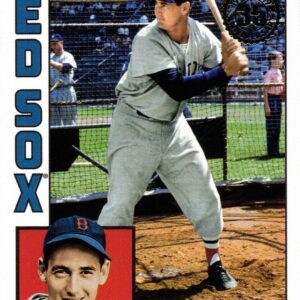 2019 Topps Update 1984 Topps #84-12 Ted Williams Baseball Card