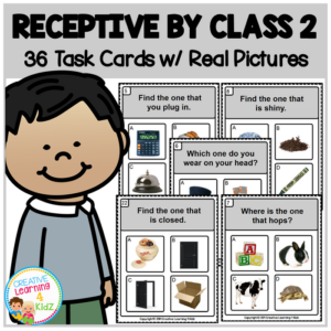 receptive by class 2 task cards special education aba