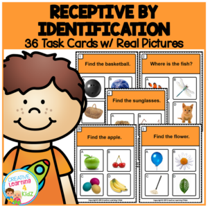 receptive identification 1 task cards special education