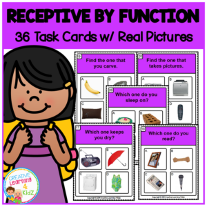 receptive by function task cards special education aba