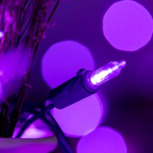 SWEET SHINE Purple LED Christmas Lights with Purple Wire, 66 Ft 200 Counts UL Certified Holiday Lights Set (Purple)