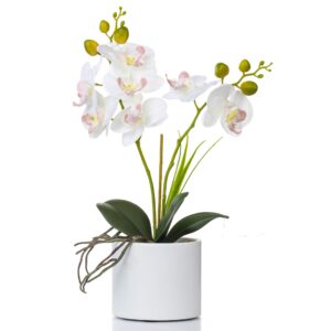 jusdreen 1 pcs ceramic vase artificial orchid flower bonsai vivid phalaenopsis flowers potting for home office décor,table centerpiece room decorations 14.5 inch (ceramic pot/white orchid)