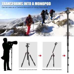 70 Inch Tripod for Camera,Stable Aluminum Travel Tripod, Photography Tripod with 360 Degree Ball Head and Carry Bag, Camera Stand for Ring Light & Canon Nikon Sony DSLR