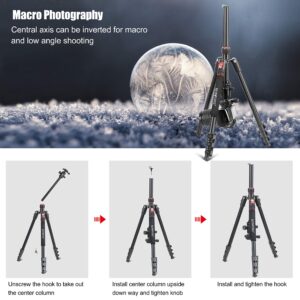 70 Inch Tripod for Camera,Stable Aluminum Travel Tripod, Photography Tripod with 360 Degree Ball Head and Carry Bag, Camera Stand for Ring Light & Canon Nikon Sony DSLR