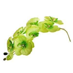 2 pcs artificial orchid flower stems 37.5 inch faux green phalaenopsis flower branches 8 heads silk real touch butterfly phalaenopsis orchid fake cymbidium stems for wedding home garden decoration