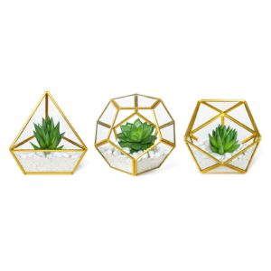 mkono artificial succulent in 3 pack mini glass geometric terrarium, miniature potted faux plant bookshelf desk boho office room decor for women girls dorm gift idea, gold