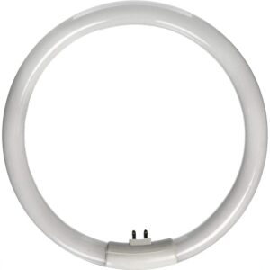 Replacement for Conair Makeup Mirror | Circular Fluorescent Bulb 5.5-Inch T4-12W FC12