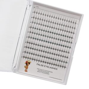 Large Tray-200pcs D Curl 5D Premade Fans Volume Eye Lashes Extensions Phoenix Tail Design Beauty Nature Long Soft and Light Individual False Eyelashes Cluster 10-16mm to Choose (13MM)