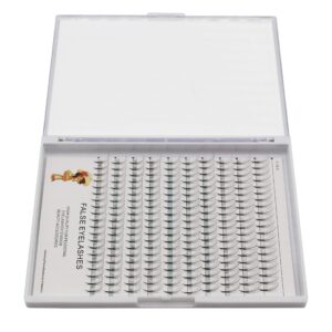 Large Tray-200pcs D Curl 5D Premade Fans Volume Eye Lashes Extensions Phoenix Tail Design Beauty Nature Long Soft and Light Individual False Eyelashes Cluster 10-16mm to Choose (13MM)