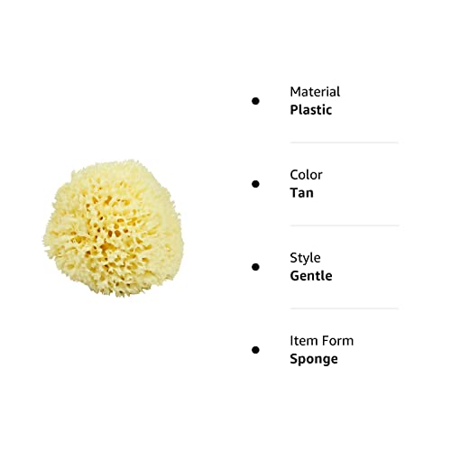 Neptune Natural Sea Wool Sponge - All Natural Honeycomb Renewable Sea Sponge, Large, Approx. 5 Inches